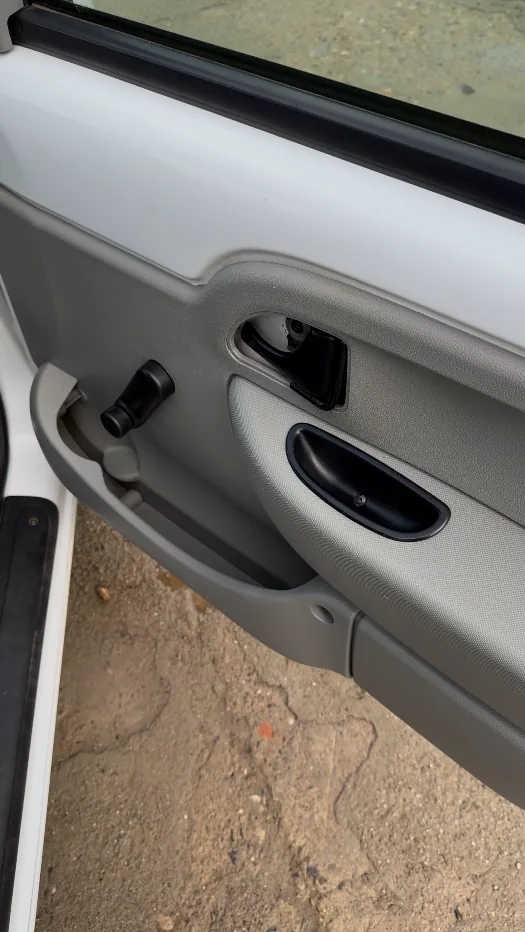 Panel de puerta interior antes de la limpieza