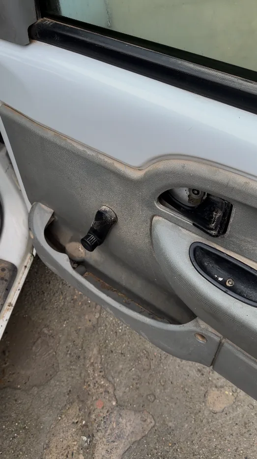 Panel de puerta interior después de la limpieza